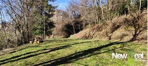 terrain à la vente -   19190  SERILHAC, surface 3924 m2 vente terrain - UBI473960039